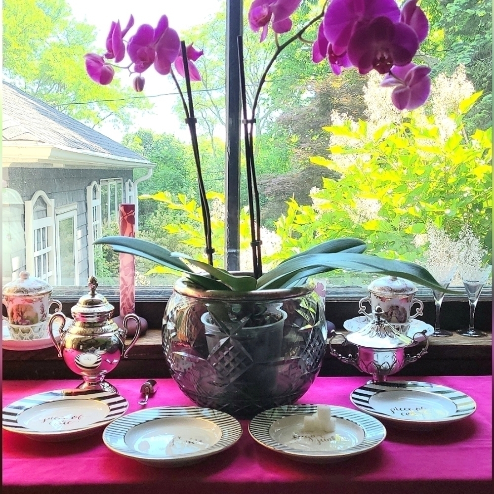Set of 4 Dessert Plates